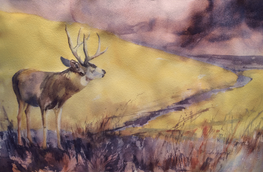 "Buck for Tim" Watercolor on Paper 15x22" ©Ruth Armitage 2014