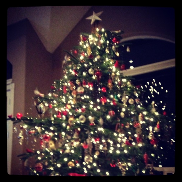 Merry Christmas, from my house to yours!