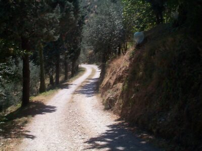 The Driveway at La Romita